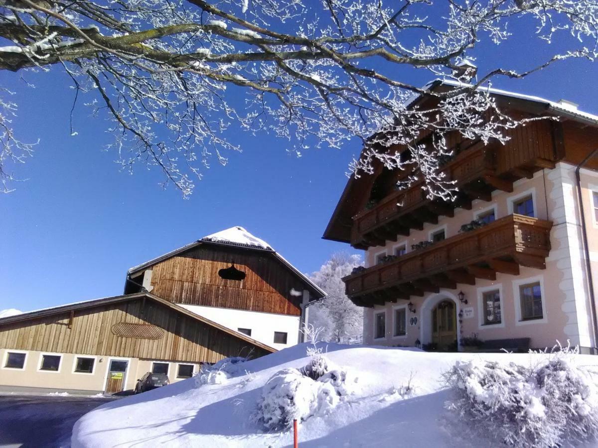Farm stay Bauernhof Trinkergut Unternberg